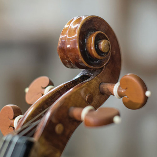 Violins Bluett Bros. Violins